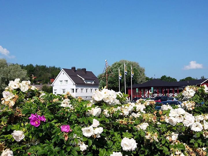 Kuninkaantiellä: Loviisa