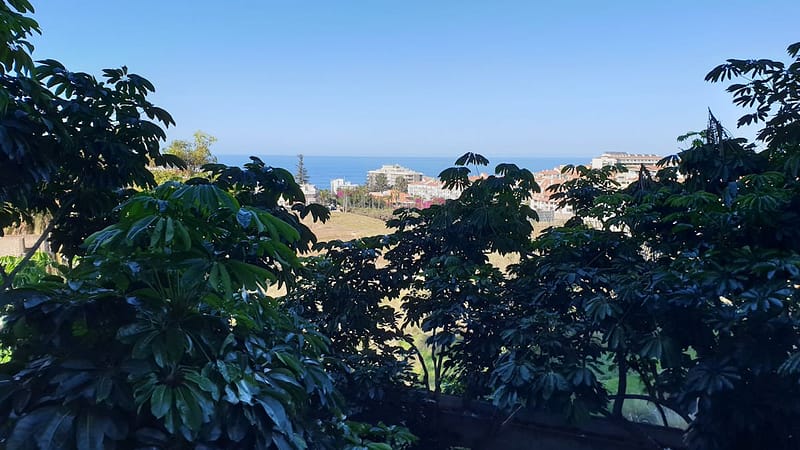 Puerto de la Cruziin