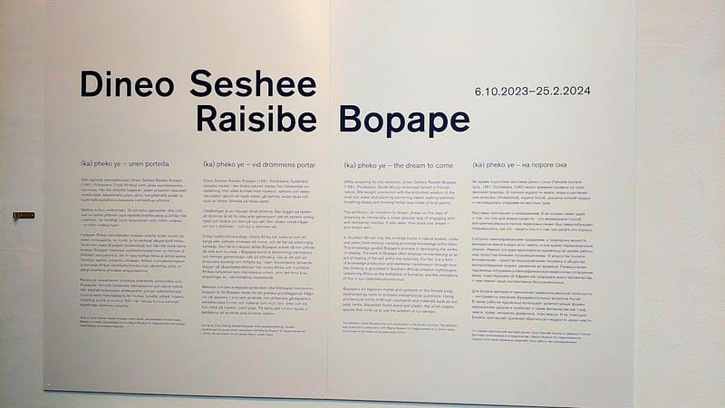 Kiasma: Dineo Seshee Raisibe Bopapen näyttelyn avaisissa 5.10.2023