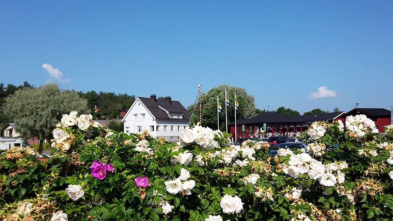 Kuninkaantiellä: Loviisa